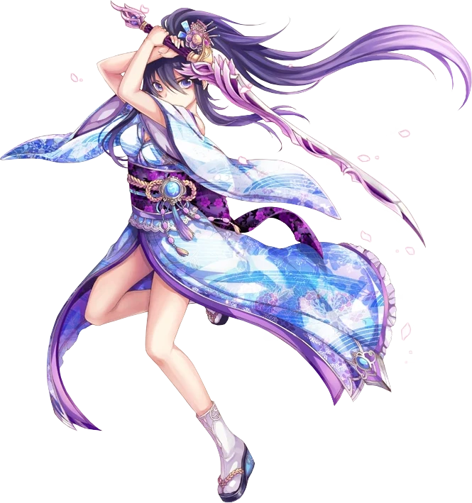 Ronin class art
